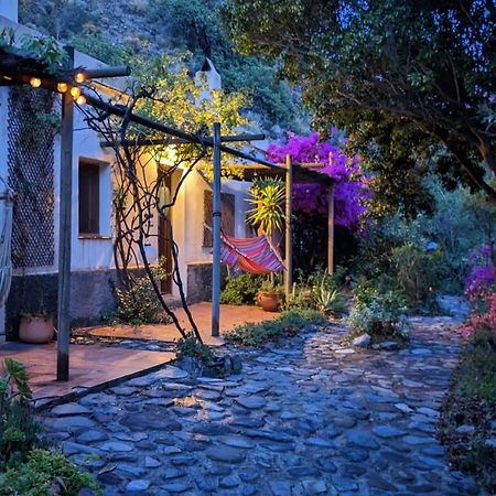 Cortijo Jamaica - Off Grid Paradise - Costa Tropical Los Diaz  Exterior photo